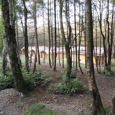 Wyldwood Lodge Cheadle  Buitenkant foto