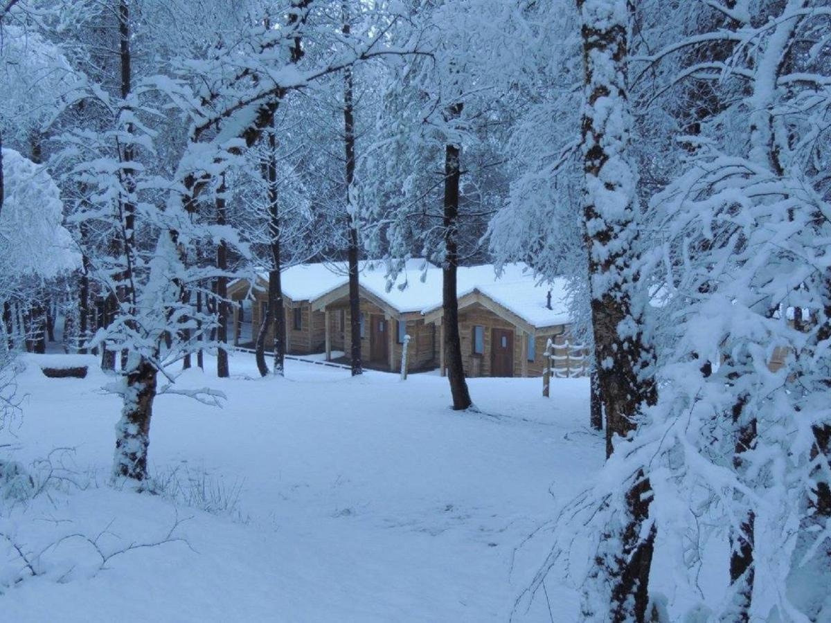 Wyldwood Lodge Cheadle  Buitenkant foto