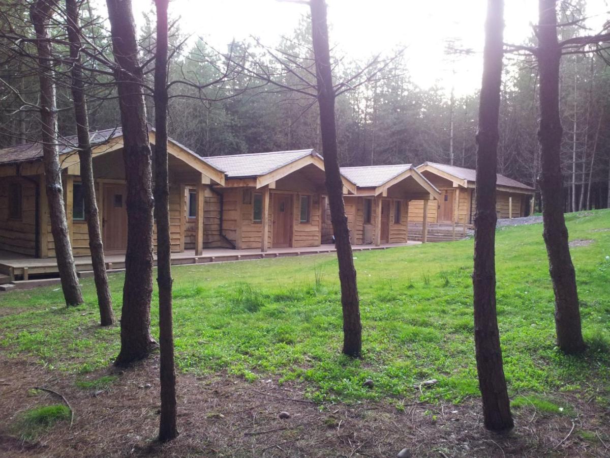 Wyldwood Lodge Cheadle  Buitenkant foto