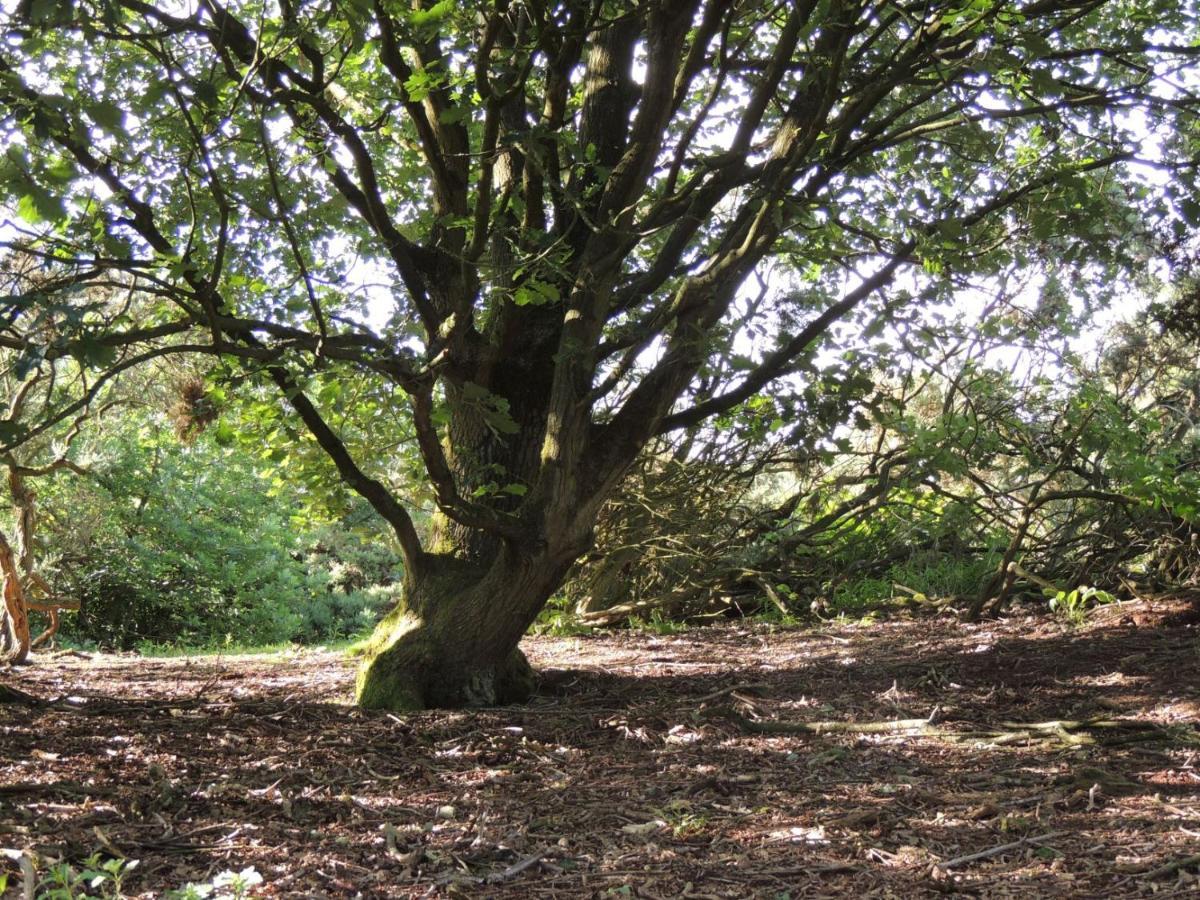 Wyldwood Lodge Cheadle  Buitenkant foto