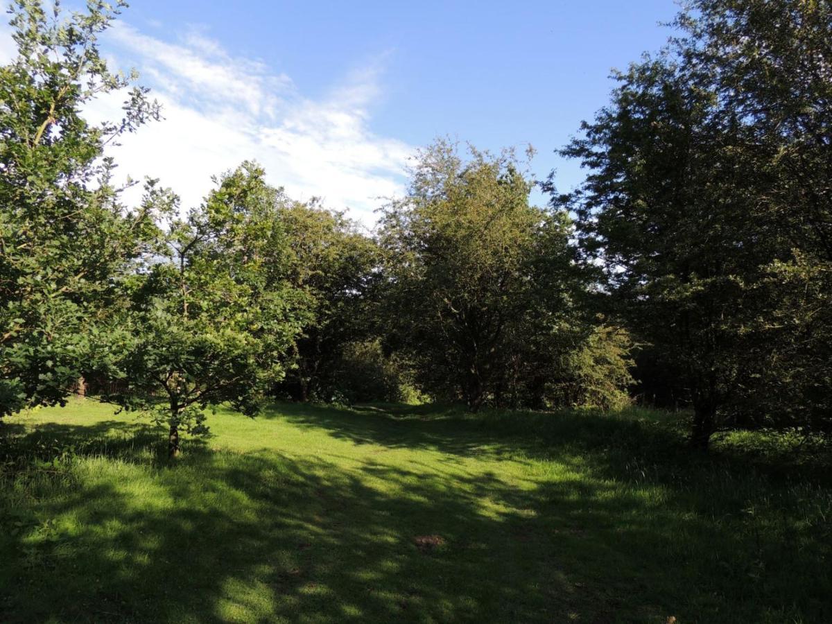 Wyldwood Lodge Cheadle  Buitenkant foto