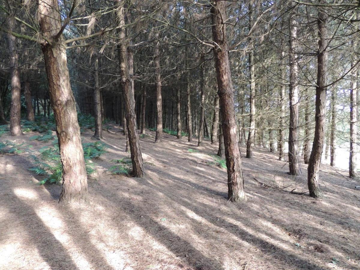 Wyldwood Lodge Cheadle  Buitenkant foto