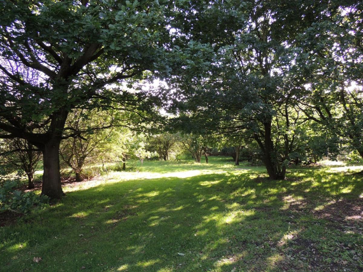 Wyldwood Lodge Cheadle  Buitenkant foto
