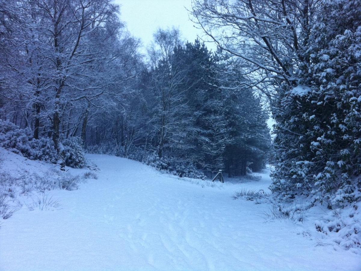 Wyldwood Lodge Cheadle  Buitenkant foto