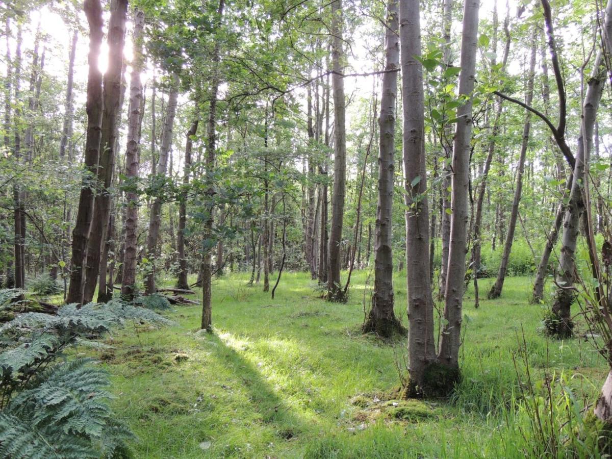 Wyldwood Lodge Cheadle  Buitenkant foto