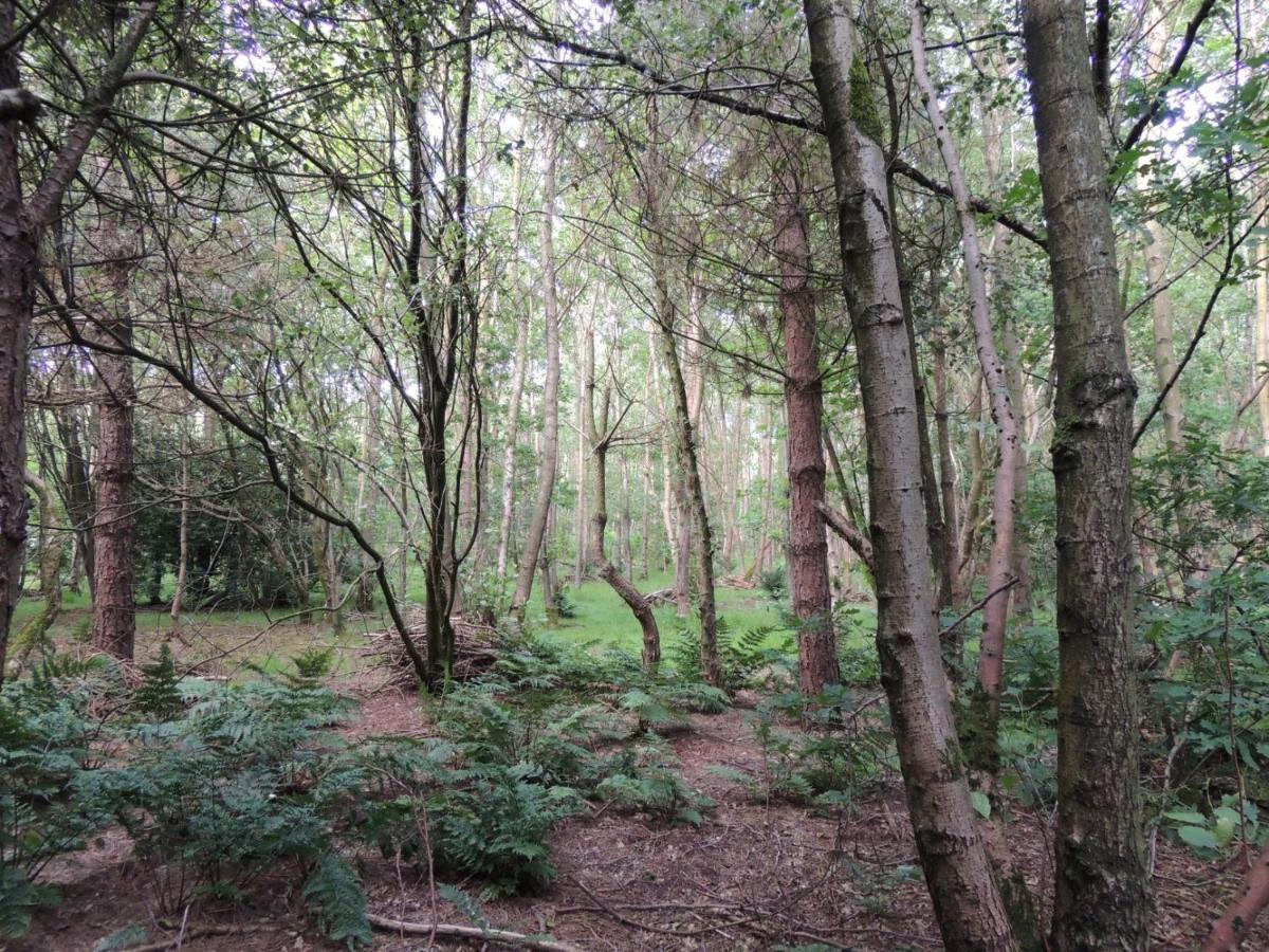 Wyldwood Lodge Cheadle  Buitenkant foto